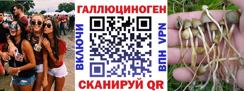 Галлюциногенные грибы ЛСД  Купить  Кулебаки 